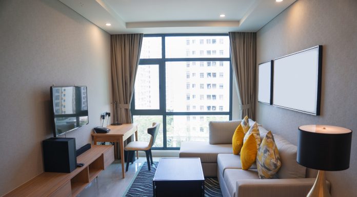 Pet-Proofing Your Apartment Without Destroying Your Deposit apartment pet proofing tips protect deposit
